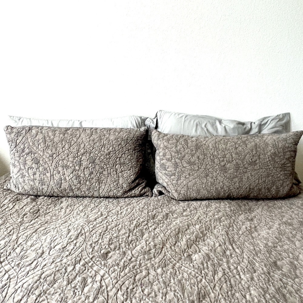 Southern living 2 gray king size pillow shams